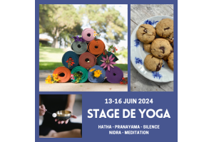 Stage de Yoga du 13 au 16 Juin 2024 